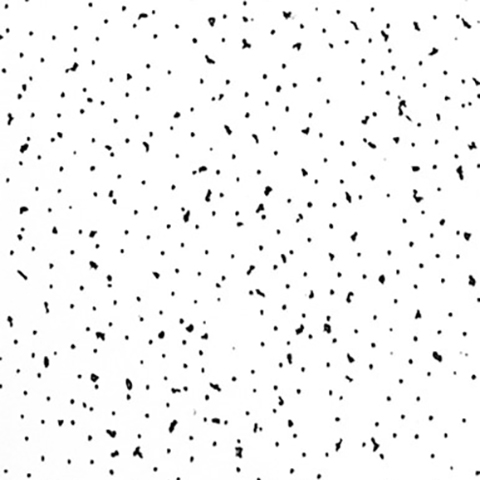 Certainteed Fine Fissured Tile